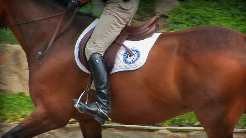 rider's equitation tip for impulsion on your horse