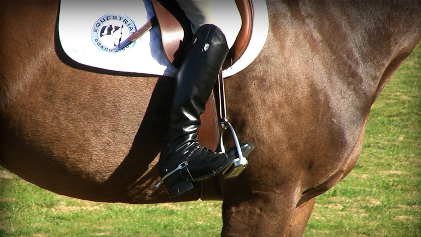 improve your leg position for riding horses