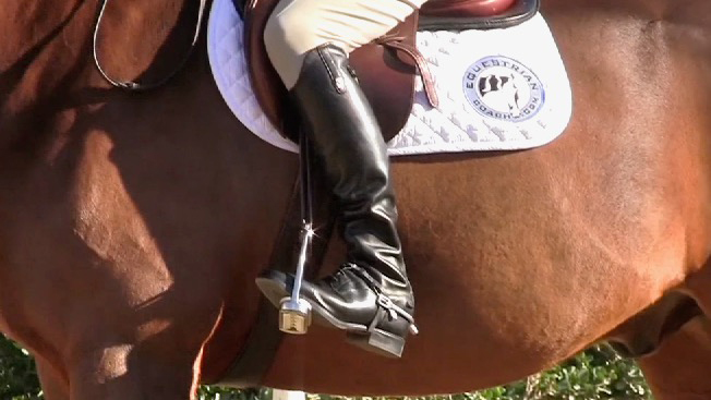 ideal leg position on a horse