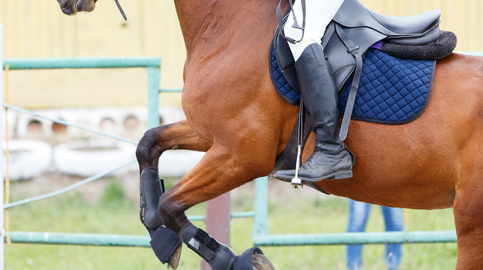 riders leg position when jumping a horse
