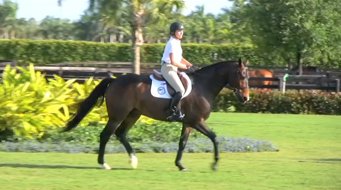 improve your sitting trot on a horse