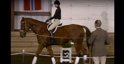 longe lesson to improve a riders position on a horse with bert de nemethy