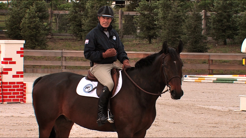 learn how to see distances to the jump on your horse