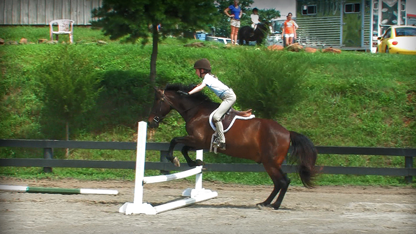 Types of Ponies to Use When Teaching a Young Rider