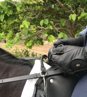 reins through safety strap on saddle