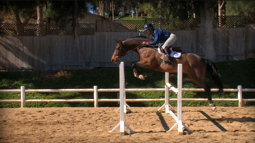 improve your horses front end over jumps