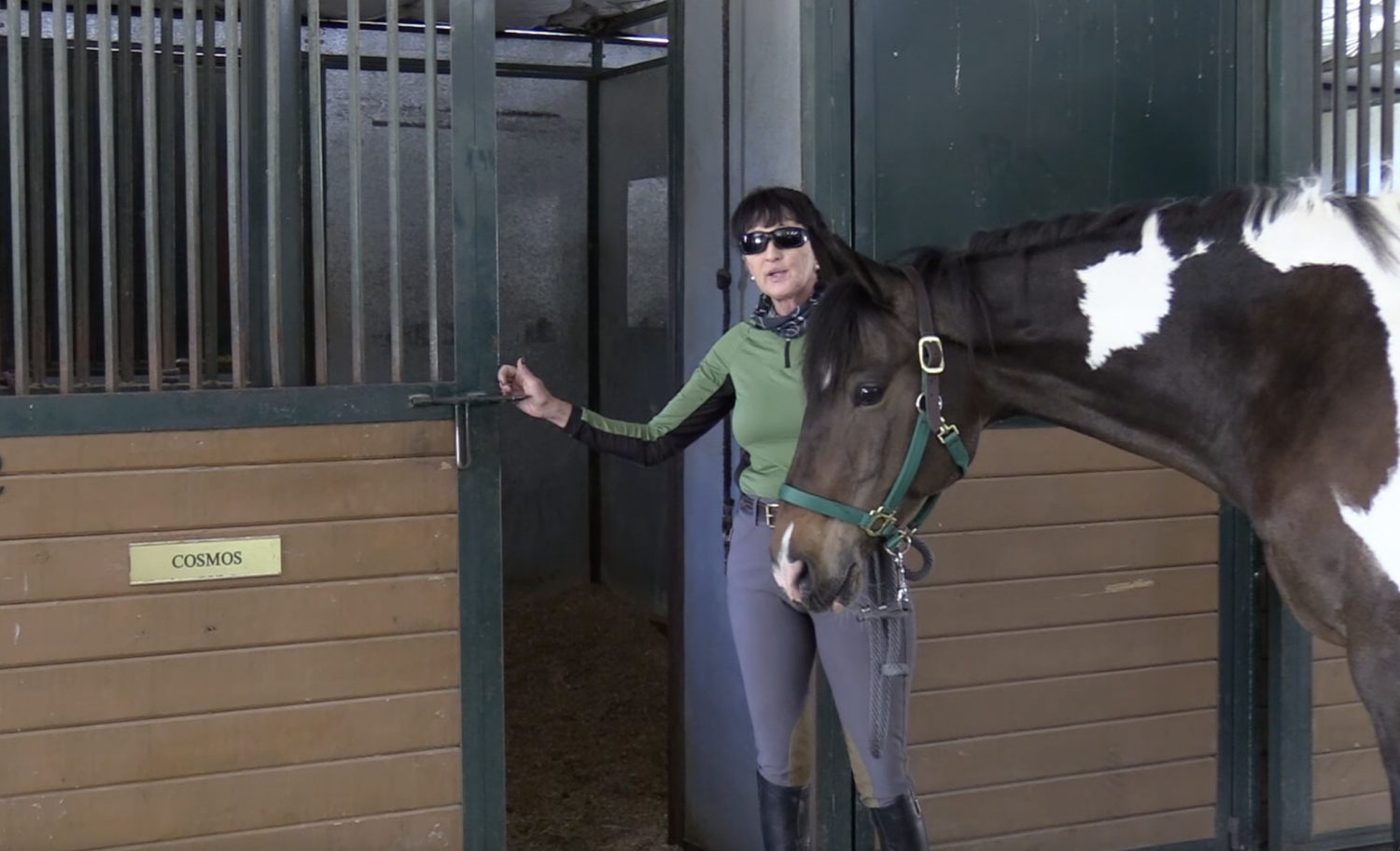 Barn Basics: The Ins and Outs of Stall Safety